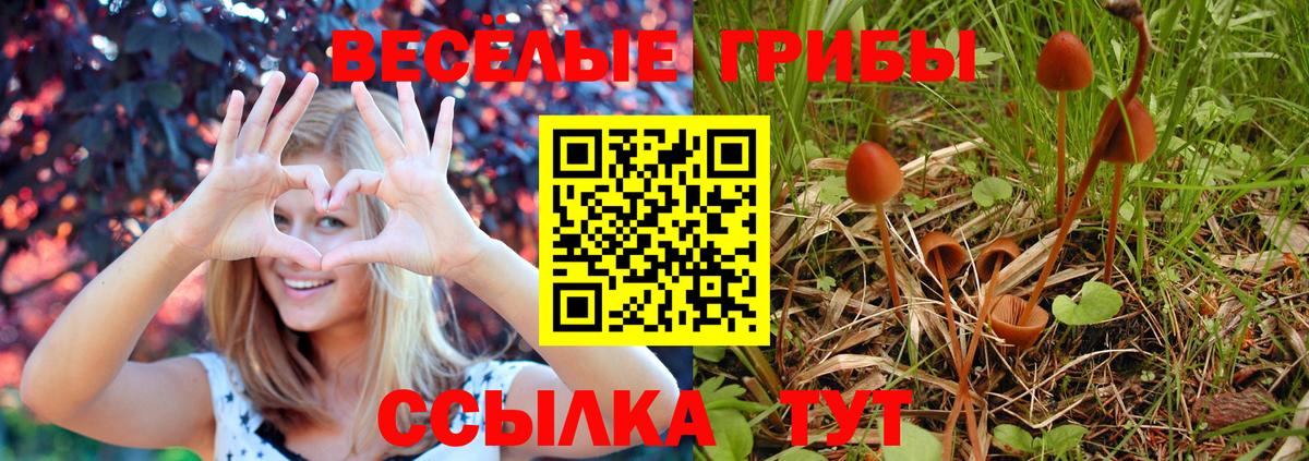 Псилоцибиновые грибы мицелий  Вход с VPN  Майский 